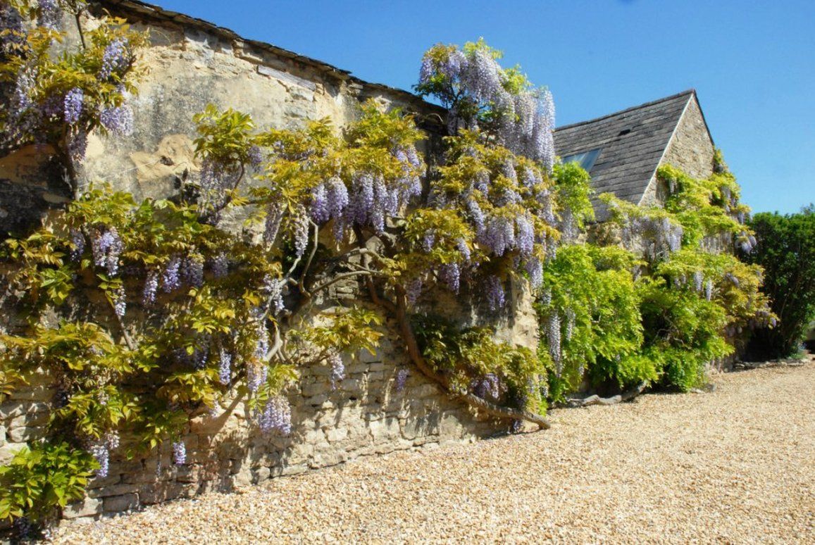 Marlborough Arms Woodstock Amenidades foto